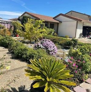 Meet your Posher, Rosa